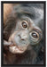 kleines Affenbaby auf Leinwandbild gerahmt Größe 60x40