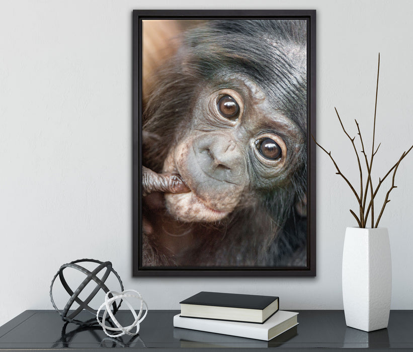 kleines Affenbaby auf Leinwandbild gerahmt mit Kirschblüten