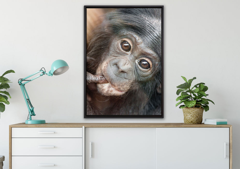 kleines Affenbaby auf Leinwandbild gerahmt verschiedene Größen im Wohnzimmer