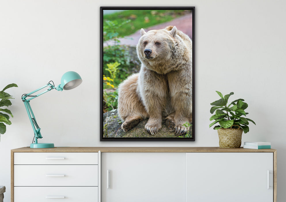 niedlicher Grizzlybär auf Stein auf Leinwandbild gerahmt verschiedene Größen im Wohnzimmer