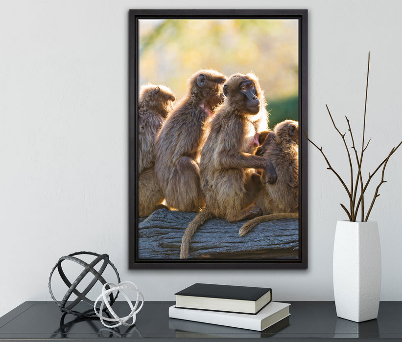 liebevolle Affenfamilie auf Leinwandbild gerahmt mit Kirschblüten