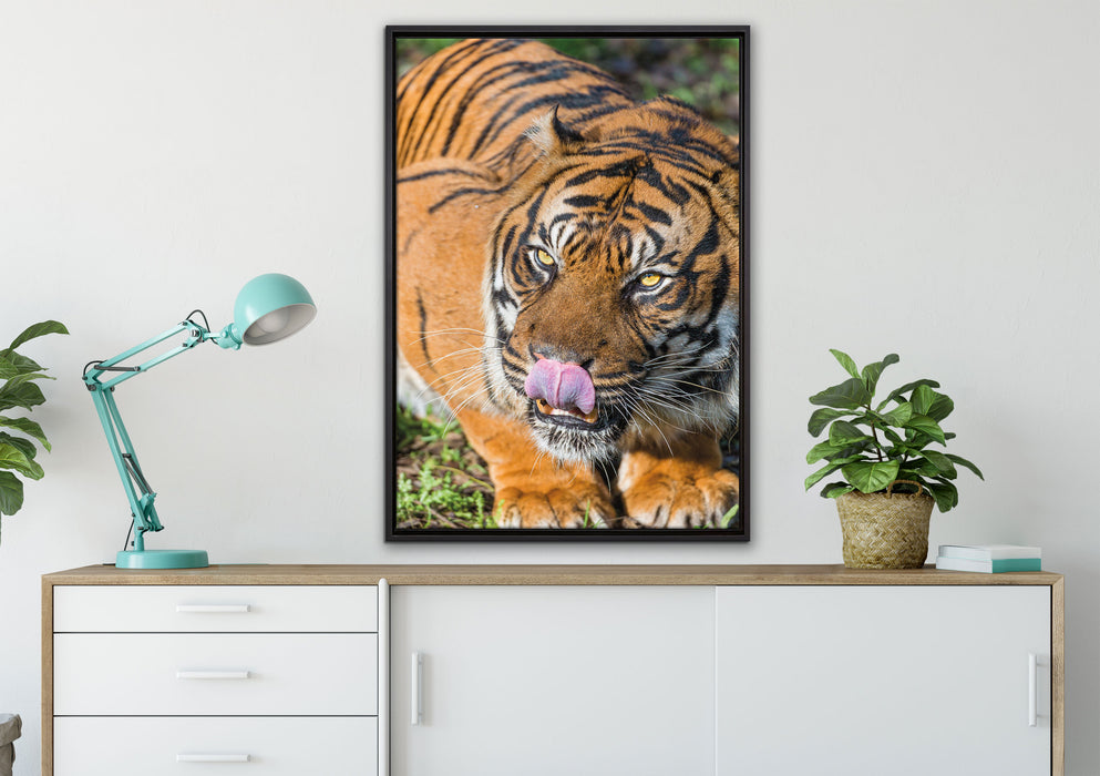 großer Tiger auf Leinwandbild gerahmt verschiedene Größen im Wohnzimmer