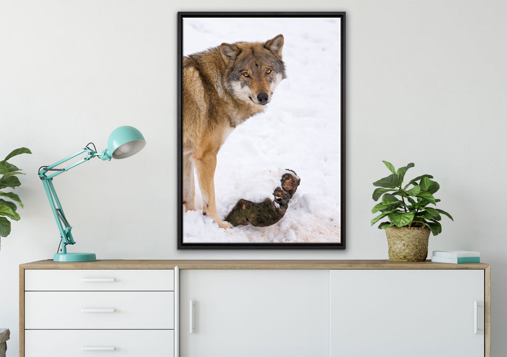 prächtiger Wolf im Schnee auf Leinwandbild gerahmt verschiedene Größen im Wohnzimmer