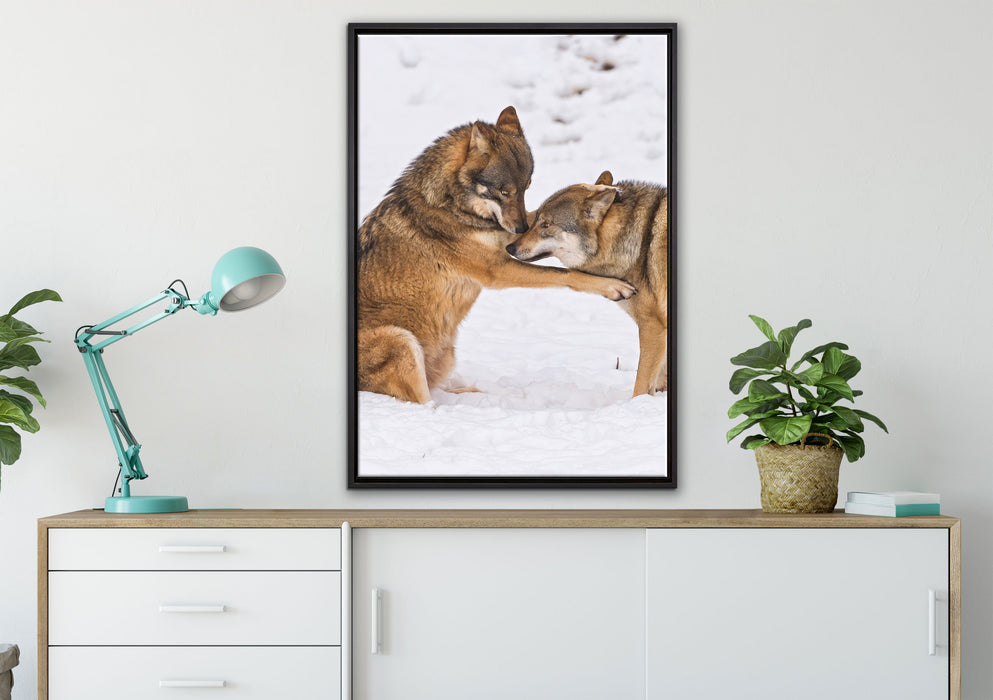 spielendes Wolfsrudel auf Leinwandbild gerahmt verschiedene Größen im Wohnzimmer
