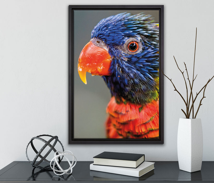 farbenfroher Papagei auf Leinwandbild gerahmt mit Kirschblüten
