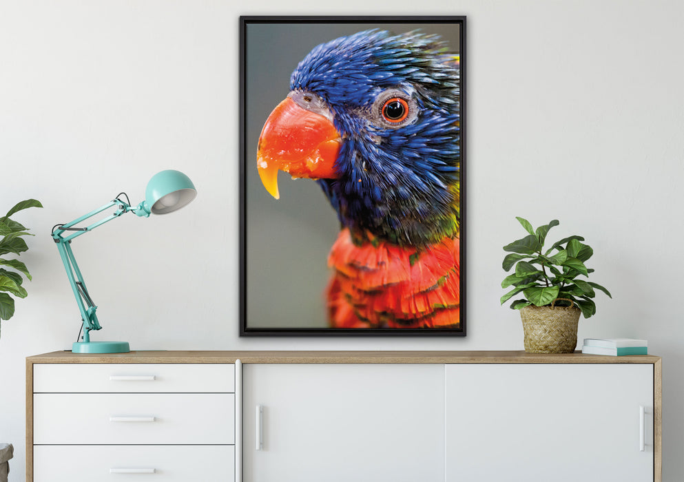 farbenfroher Papagei auf Leinwandbild gerahmt verschiedene Größen im Wohnzimmer