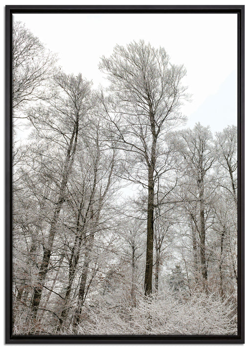 verschneiter Wald auf Leinwandbild gerahmt Größe 100x70
