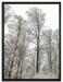 verschneiter Wald auf Leinwandbild gerahmt Größe 80x60