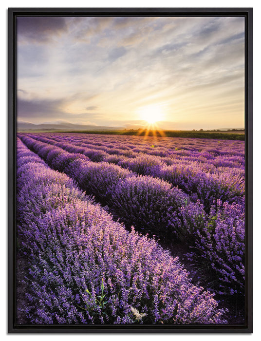 Traumhafte Lavendel Provence auf Leinwandbild gerahmt Größe 80x60