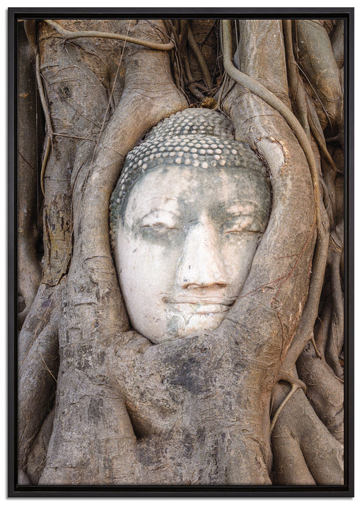 Buddha Kopf im Baum auf Leinwandbild gerahmt Größe 100x70