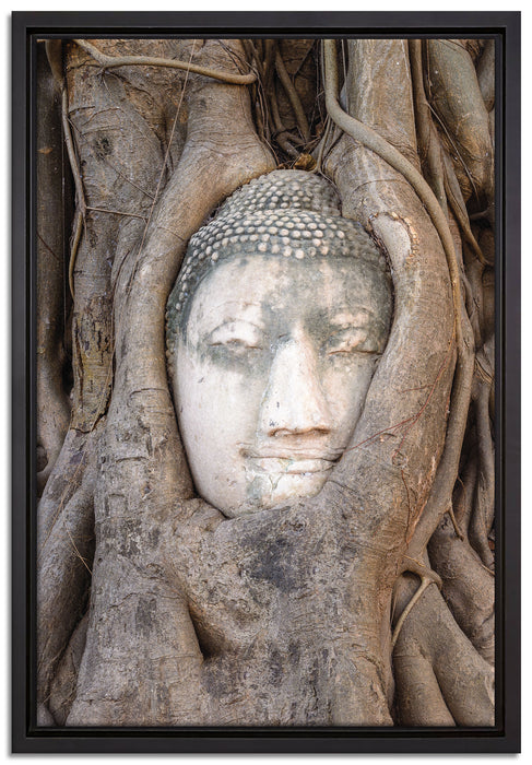 Buddha Kopf im Baum auf Leinwandbild gerahmt Größe 60x40