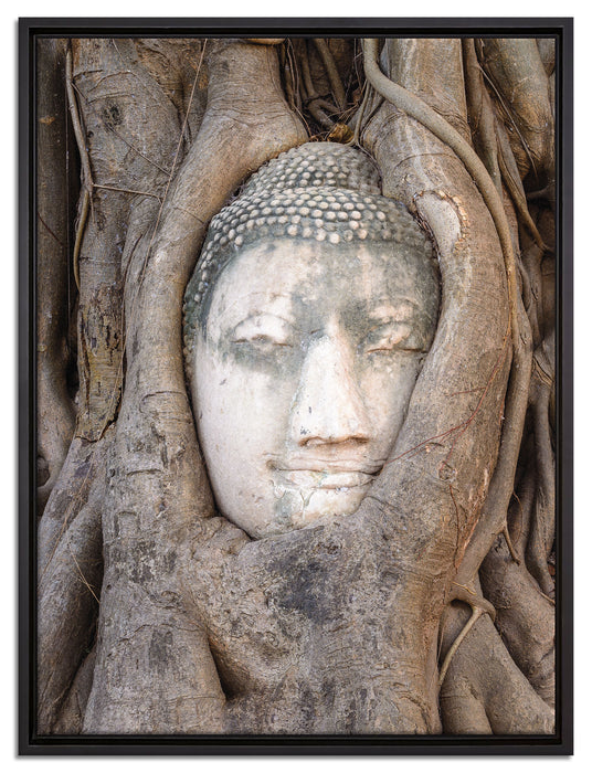 Buddha Kopf im Baum auf Leinwandbild gerahmt Größe 80x60