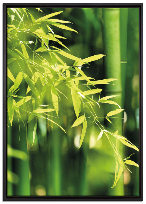 Bambus mit Blättern auf Leinwandbild gerahmt Größe 100x70
