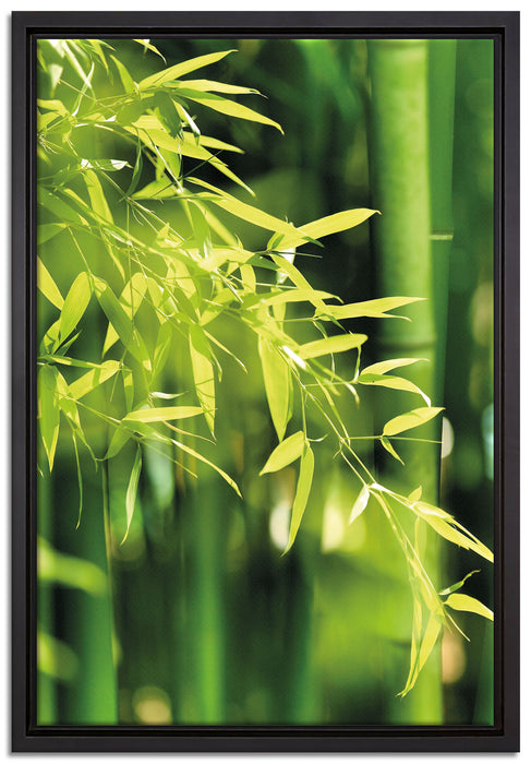 Bambus mit Blättern auf Leinwandbild gerahmt Größe 60x40