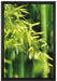 Bambus mit Blättern auf Leinwandbild gerahmt Größe 60x40
