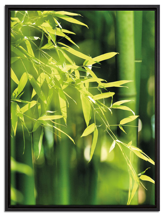 Bambus mit Blättern auf Leinwandbild gerahmt Größe 80x60