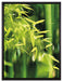 Bambus mit Blättern auf Leinwandbild gerahmt Größe 80x60