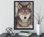 Wachsamer Wolf auf Leinwandbild gerahmt mit Kirschblüten