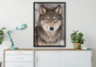 Wachsamer Wolf auf Leinwandbild gerahmt verschiedene Größen im Wohnzimmer