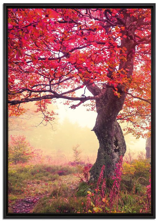 Traumhafte Herbstlandschaft auf Leinwandbild gerahmt Größe 100x70