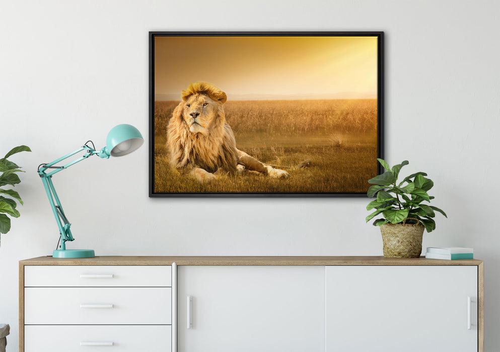 Majestätischer Löwe auf Leinwandbild gerahmt verschiedene Größen im Wohnzimmer