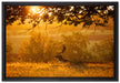 Damhirschbock Herbstmorgen auf Leinwandbild gerahmt Größe 60x40