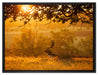 Damhirschbock Herbstmorgen auf Leinwandbild gerahmt Größe 80x60