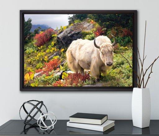 Schönes Yak Himalaya auf Leinwandbild gerahmt mit Kirschblüten