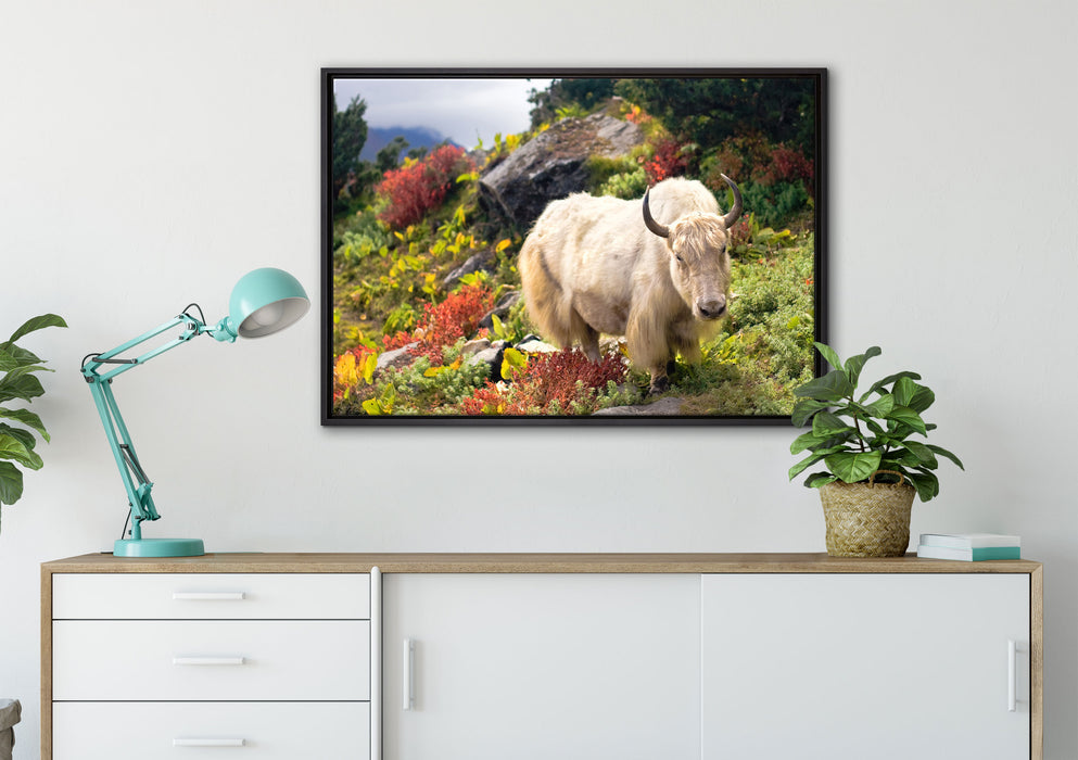 Schönes Yak Himalaya auf Leinwandbild gerahmt verschiedene Größen im Wohnzimmer