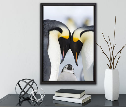 Kaiserpiguinpärchen Liebe auf Leinwandbild gerahmt mit Kirschblüten