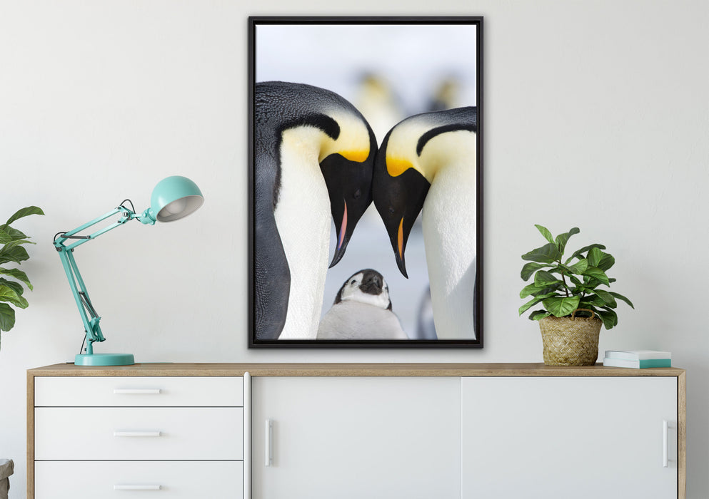 Kaiserpiguinpärchen Liebe auf Leinwandbild gerahmt verschiedene Größen im Wohnzimmer