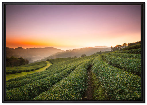 Sonnenaufgang Teeplantage Thailand auf Leinwandbild gerahmt Größe 100x70
