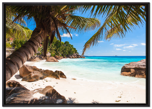 Palmenstrand Seychellen auf Leinwandbild gerahmt Größe 100x70