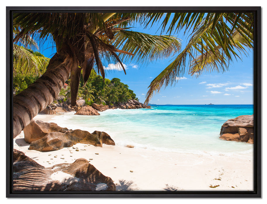 Palmenstrand Seychellen auf Leinwandbild gerahmt Größe 80x60
