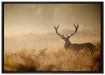 Rotwild Hirsch im Nebel auf Leinwandbild gerahmt Größe 100x70