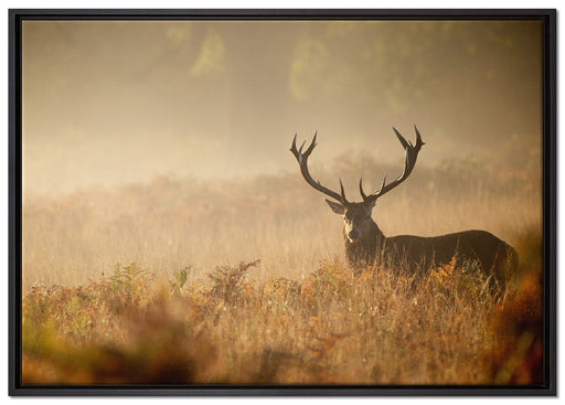 Rotwild Hirsch im Nebel auf Leinwandbild gerahmt Größe 100x70
