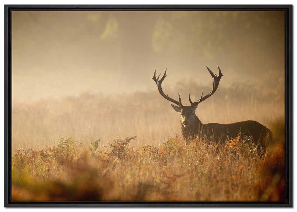 Rotwild Hirsch im Nebel auf Leinwandbild gerahmt Größe 100x70