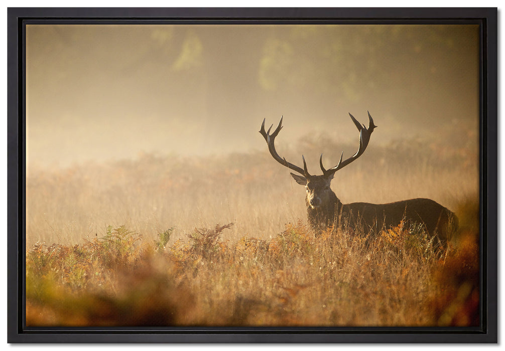 Rotwild Hirsch im Nebel auf Leinwandbild gerahmt Größe 60x40