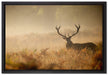 Rotwild Hirsch im Nebel auf Leinwandbild gerahmt Größe 60x40