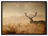 Rotwild Hirsch im Nebel auf Leinwandbild gerahmt Größe 80x60