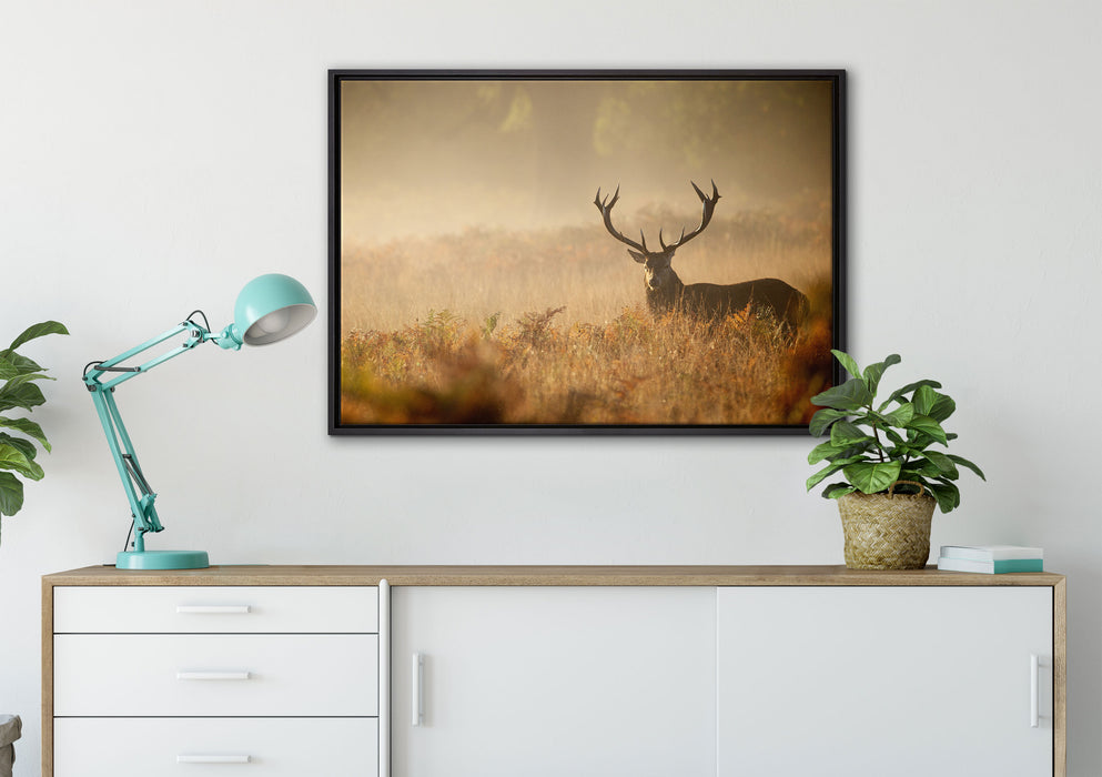 Rotwild Hirsch im Nebel auf Leinwandbild gerahmt verschiedene Größen im Wohnzimmer
