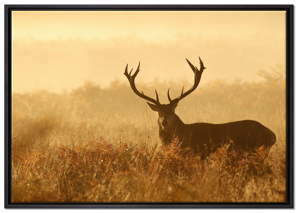 Rotwild Hirsch in Abenddämmerung auf Leinwandbild gerahmt Größe 100x70