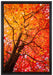 Feurige Herbstblätter auf Leinwandbild gerahmt Größe 60x40