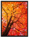 Feurige Herbstblätter auf Leinwandbild gerahmt Größe 80x60
