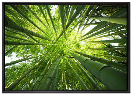 Grüner Bambus auf Leinwandbild gerahmt Größe 100x70