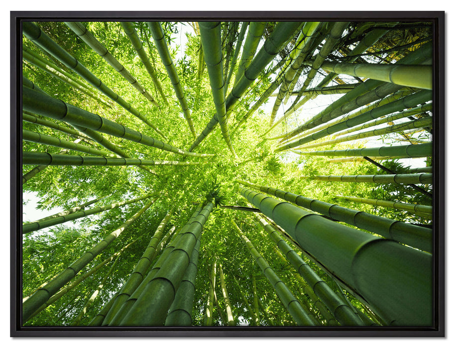 Grüner Bambus auf Leinwandbild gerahmt Größe 80x60