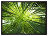 Grüner Bambus auf Leinwandbild gerahmt Größe 80x60