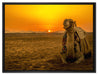Kamel in Wüste bei Sonnenaufgang auf Leinwandbild gerahmt Größe 80x60
