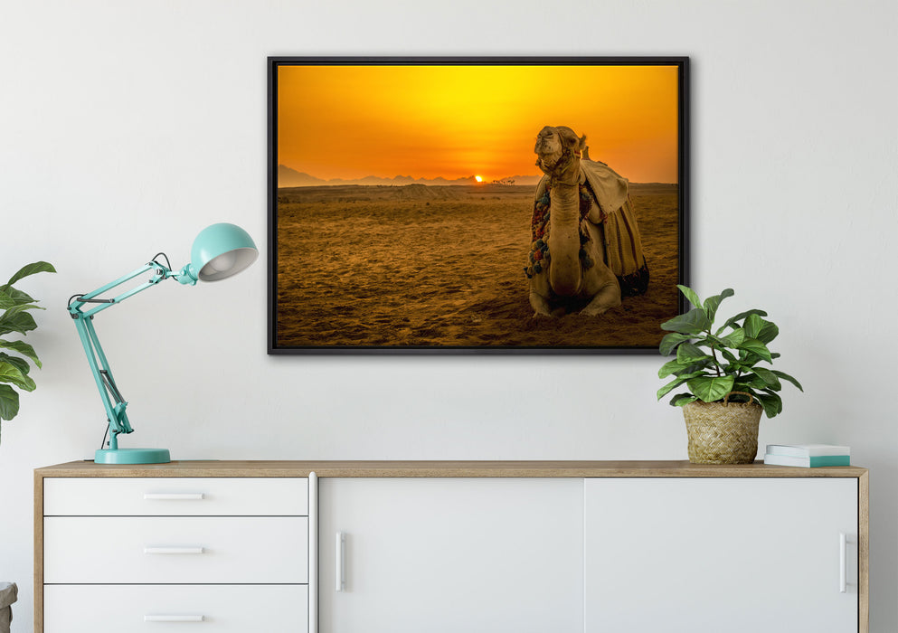 Kamel in Wüste bei Sonnenaufgang auf Leinwandbild gerahmt verschiedene Größen im Wohnzimmer