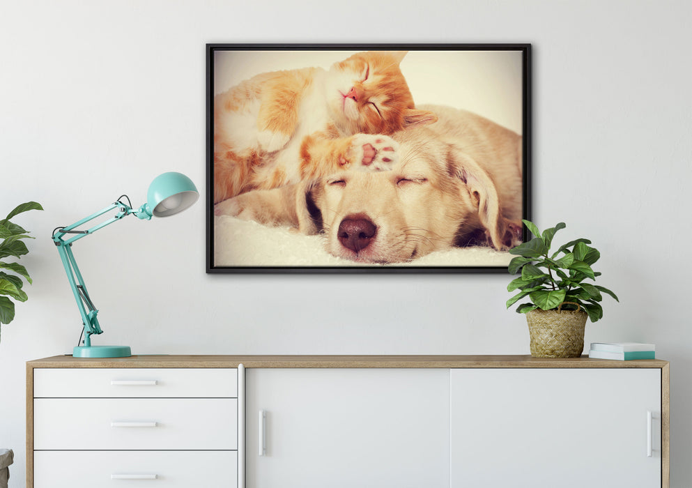 Kätzchen und Welpe schlafen auf Leinwandbild gerahmt verschiedene Größen im Wohnzimmer